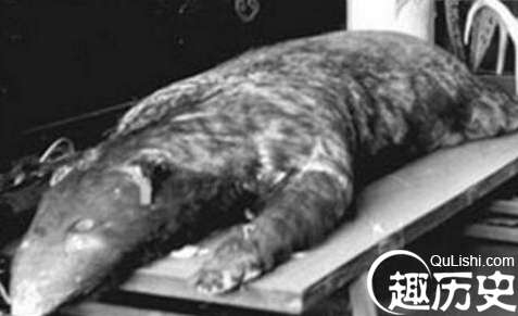 1516071160249950.png blob.png